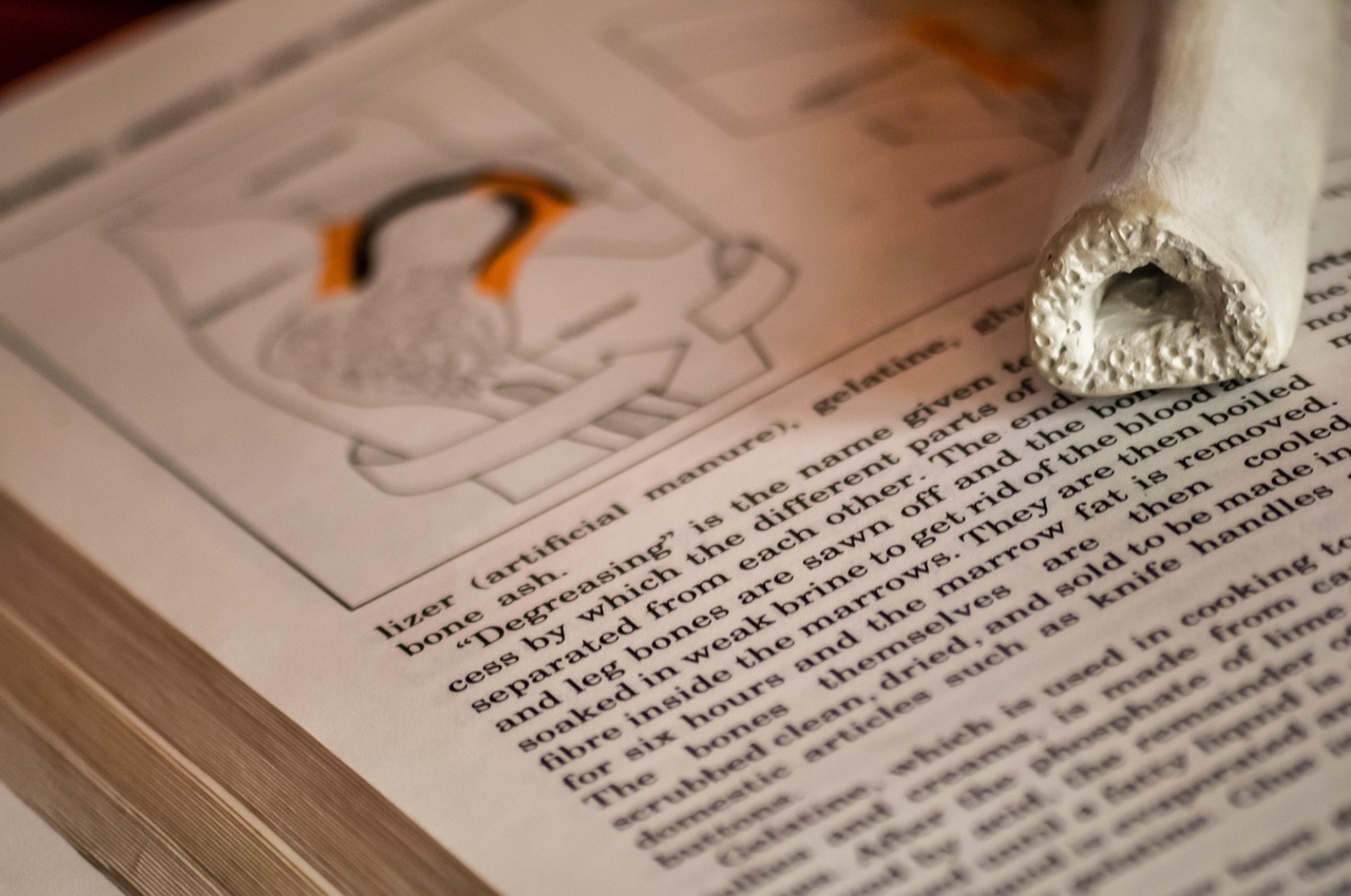 Solusi Digital untuk Peningkatan Program Vaksinasi: Studi Kasus Bolaang Mongondow Timur